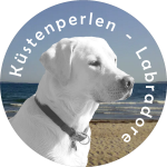 Küstenperlen Labradore